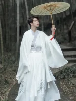 Men's Spring and Autumn Grey Song Dynasty Hanfu