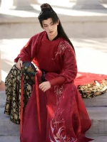 Tang Dynasty Male-Style Wuxia Hanfu Robes