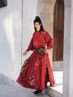 Tang Dynasty Male-Style Wuxia Hanfu Robes