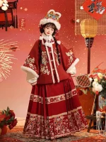 Thick Red Ming Dynasty Aoqun Hanfu Suit for Chinese New Yea
