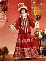 Thick Red Ming Dynasty Aoqun Hanfu Suit for Chinese New Yea