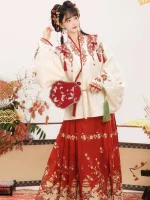 Ming Dynasty Women's Winter Hanfu Aoqun with Ma Mian Skirt