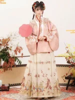 Ming Dynasty Women's Winter Hanfu Aoqun with Ma Mian Skirt