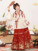 Ming Dynasty Women's Winter Hanfu Aoqun with Ma Mian Skirt