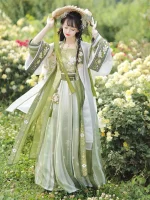 Chinese Song Dynasty Hanfu Dress with Beautiful Lotus Pattern