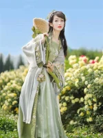Chinese Song Dynasty Hanfu Dress with Beautiful Lotus Pattern