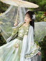 Chinese Song Dynasty Hanfu Dress with Beautiful Lotus Pattern