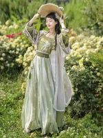 Chinese Song Dynasty Hanfu Dress with Beautiful Lotus Pattern